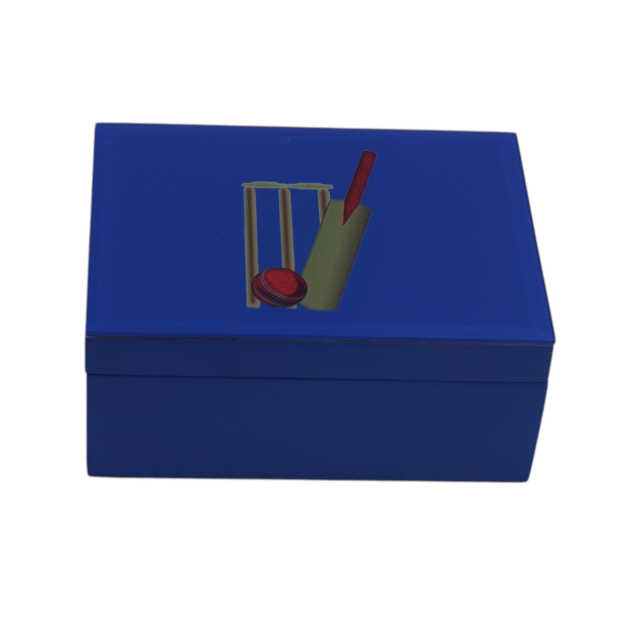 Premium Blue Small Storage Box with Cricket Design