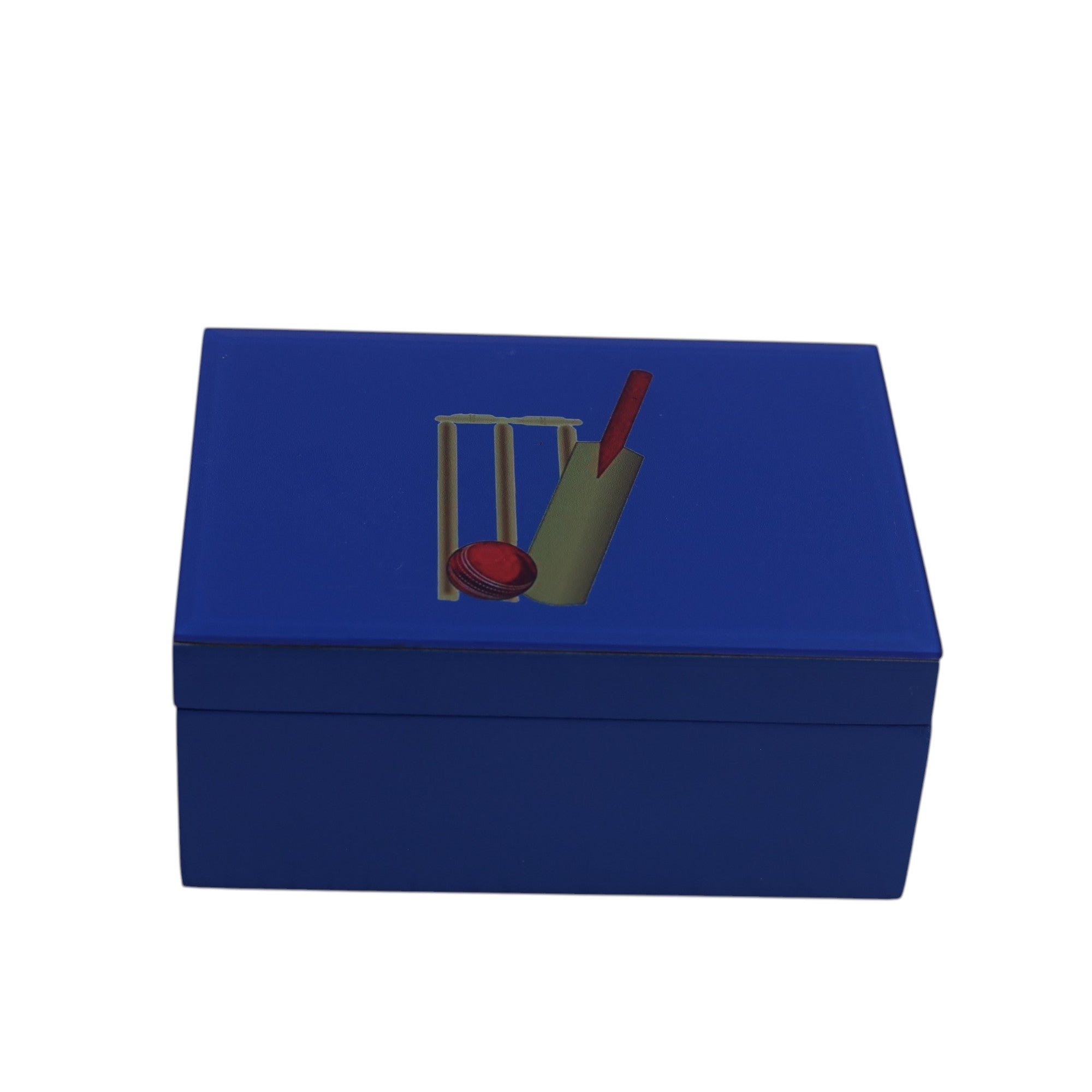 Premium Blue Small Storage Box with Cricket Design
