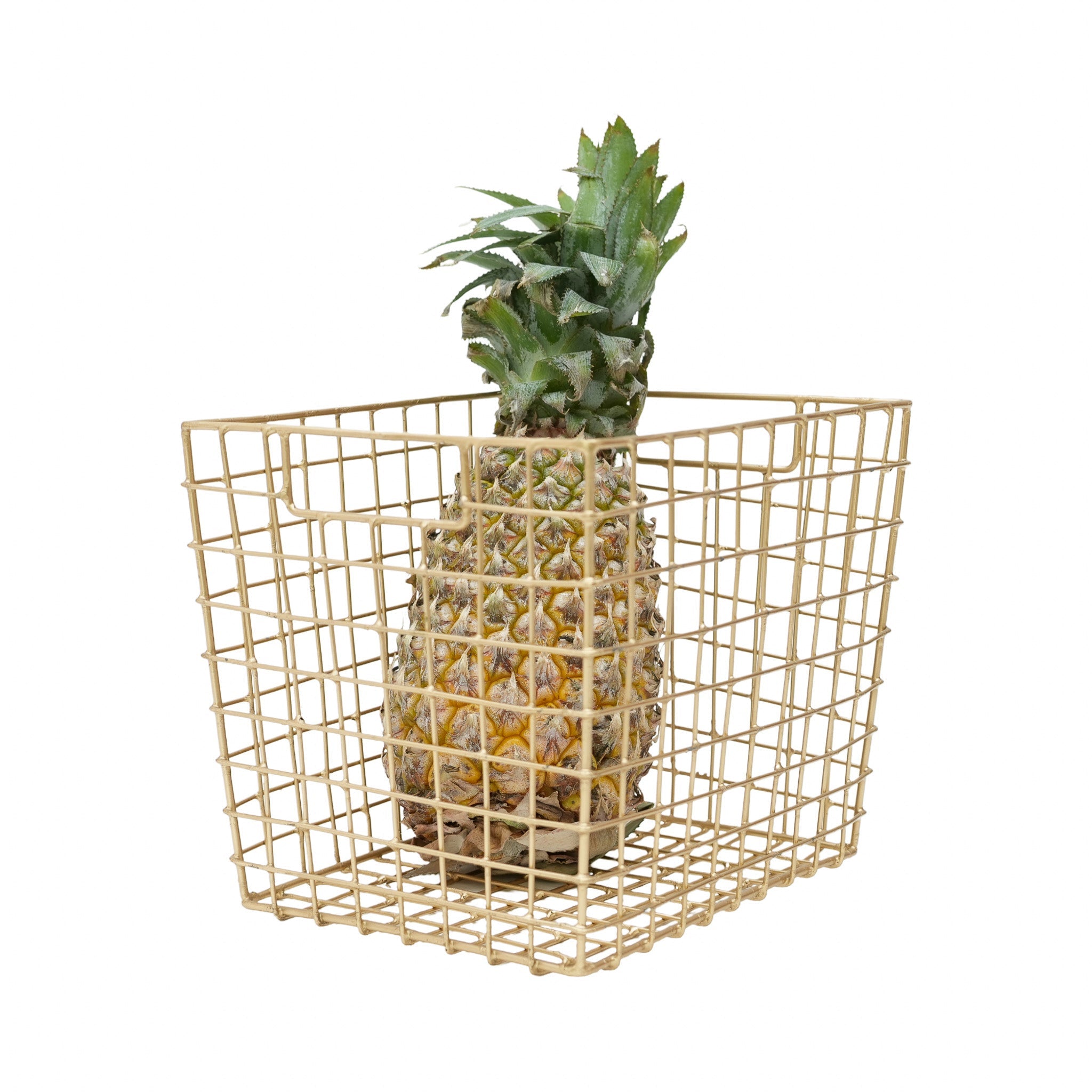 Golden Multi-purpose Metal Big Basket