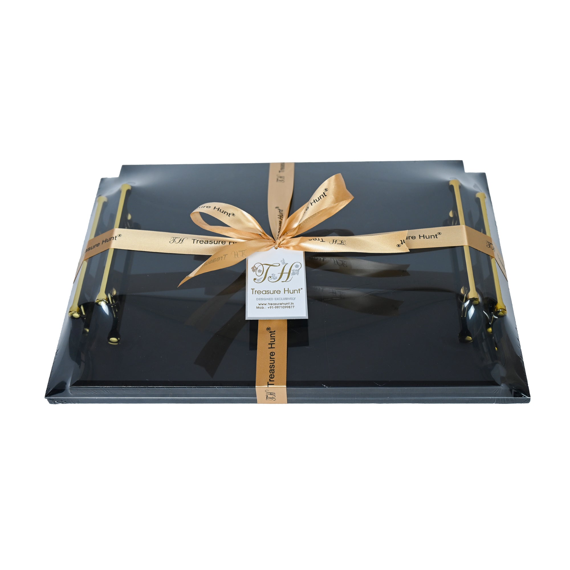 Luxury Black Glass Tray Set of Two