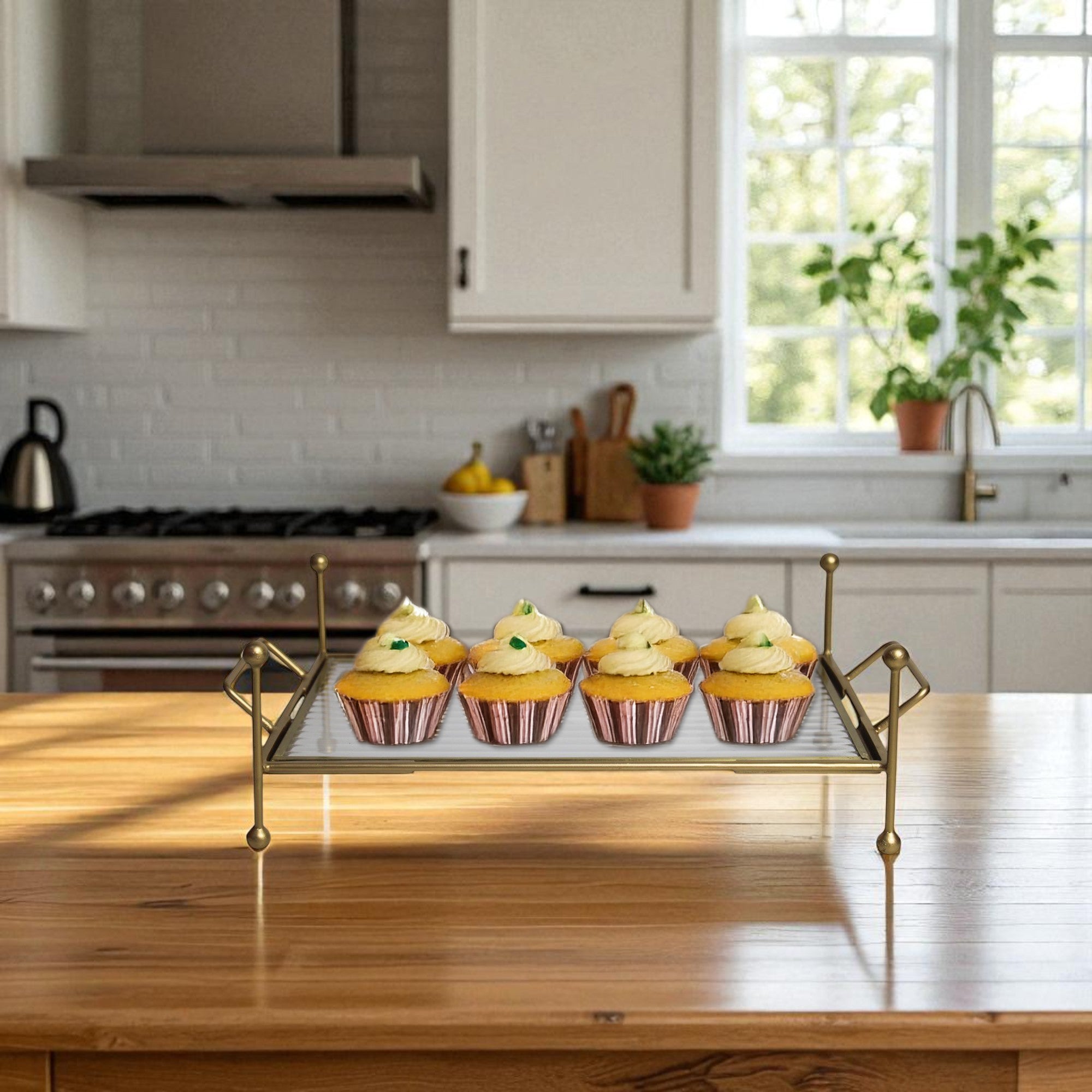 Premium Metal Serving Food Platter