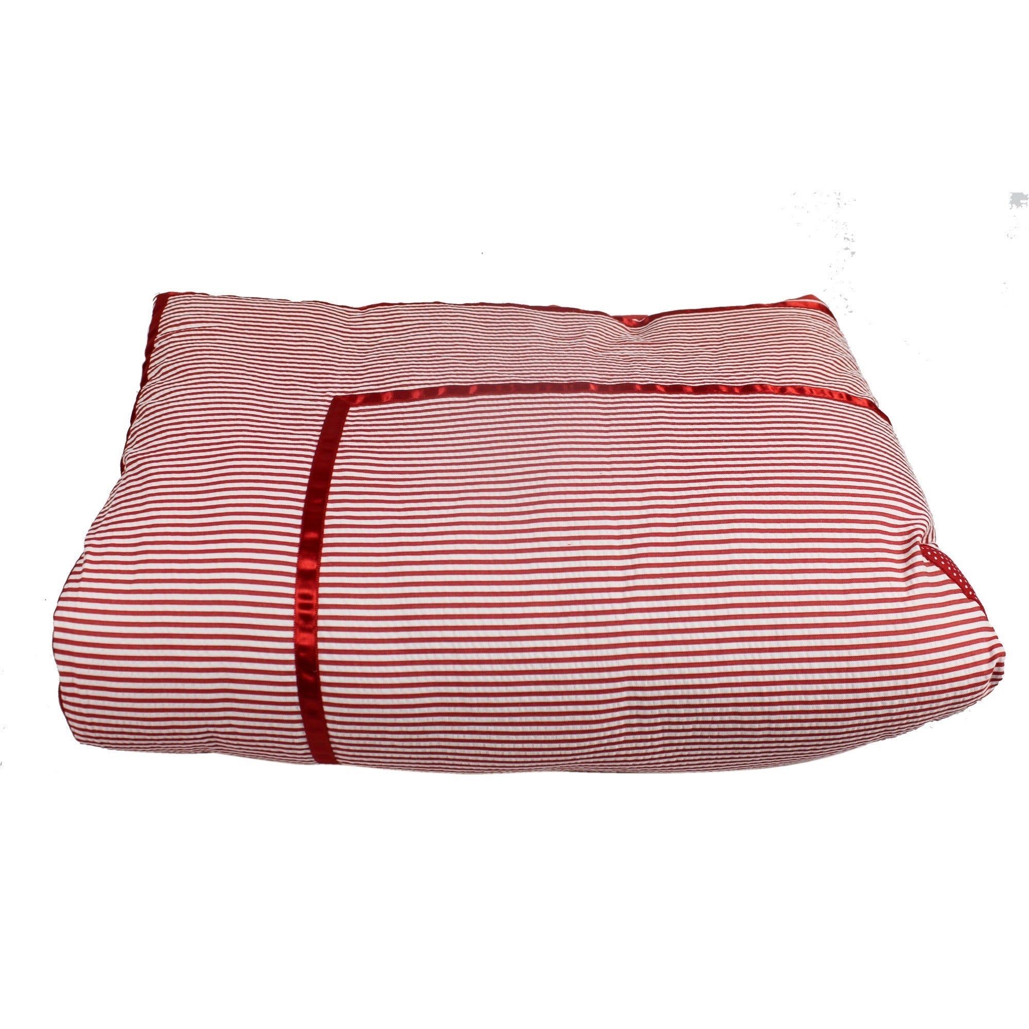 Puppy Quilt Set with 2 Soft Pillows