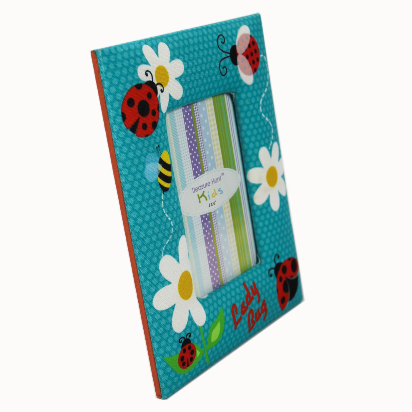 Multicolored Bugs Photo Frame