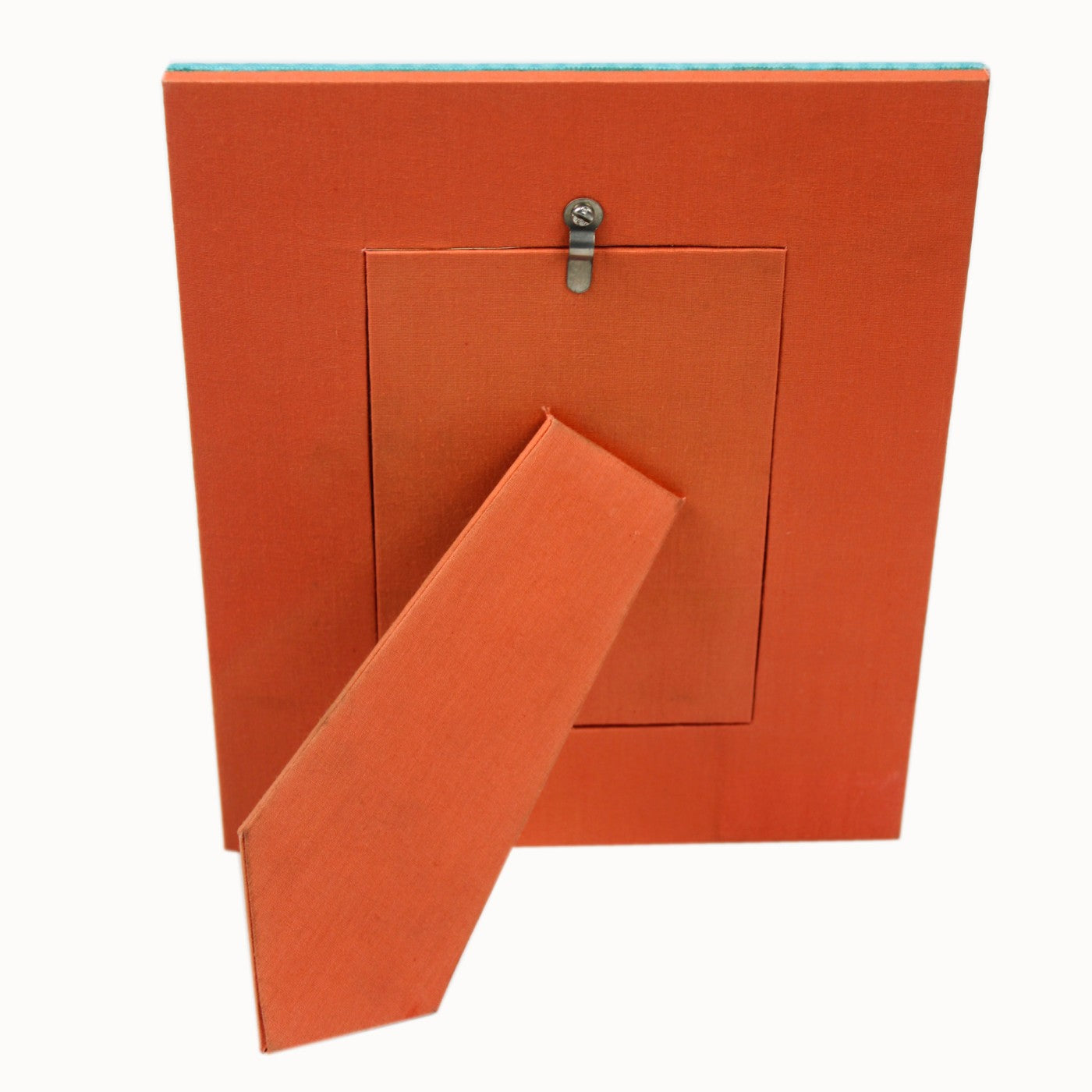 Multicolored Bugs Photo Frame