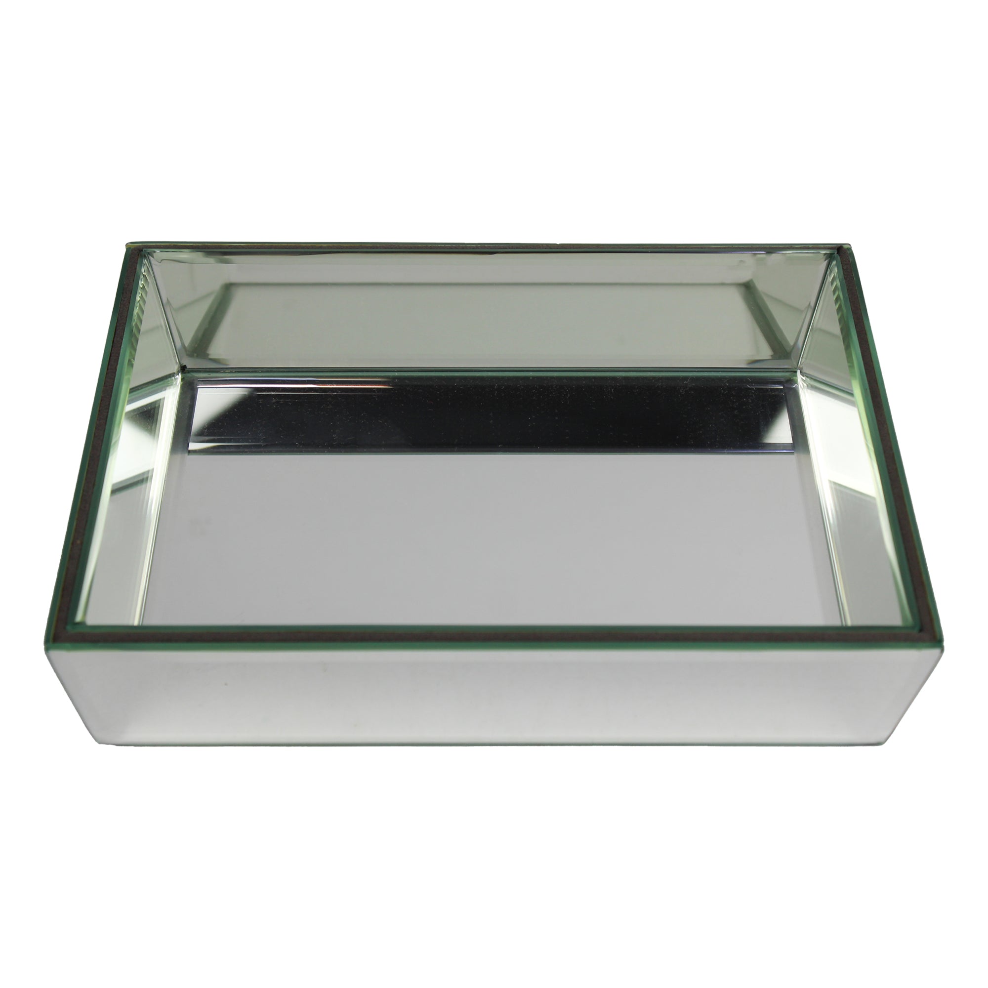 Luxury Silver Glass Tray Set of Two