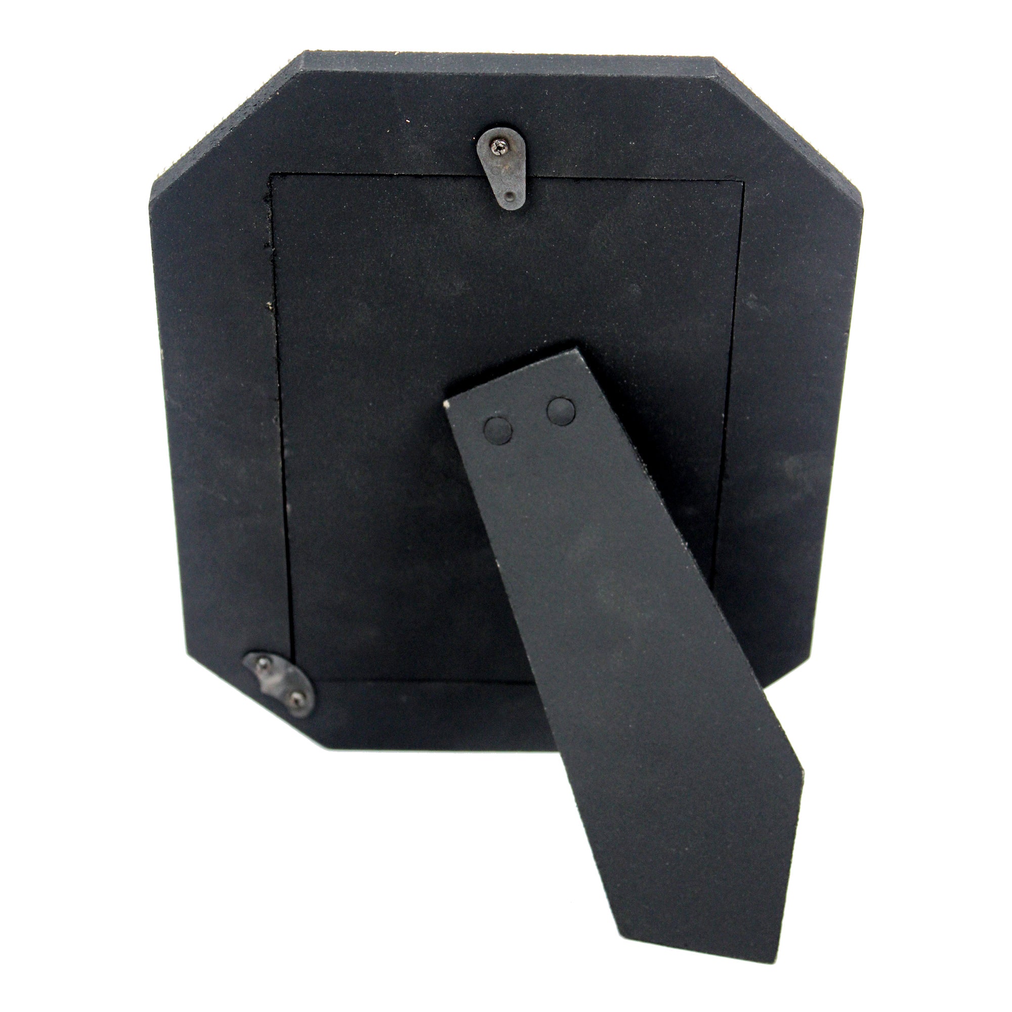 Guruji Swaroop Picture Frame- TH-1640