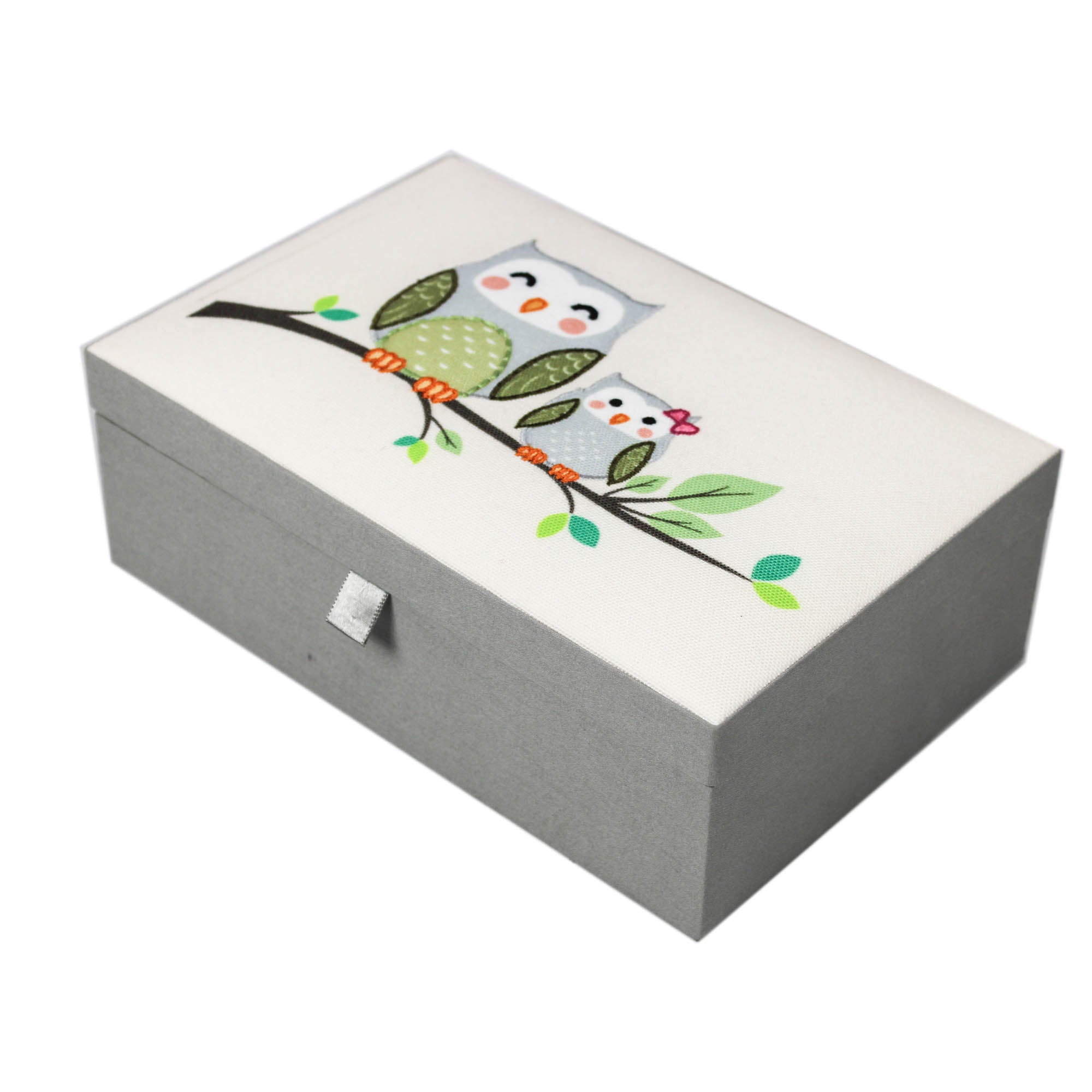 Bird Design Storage Box for Kids