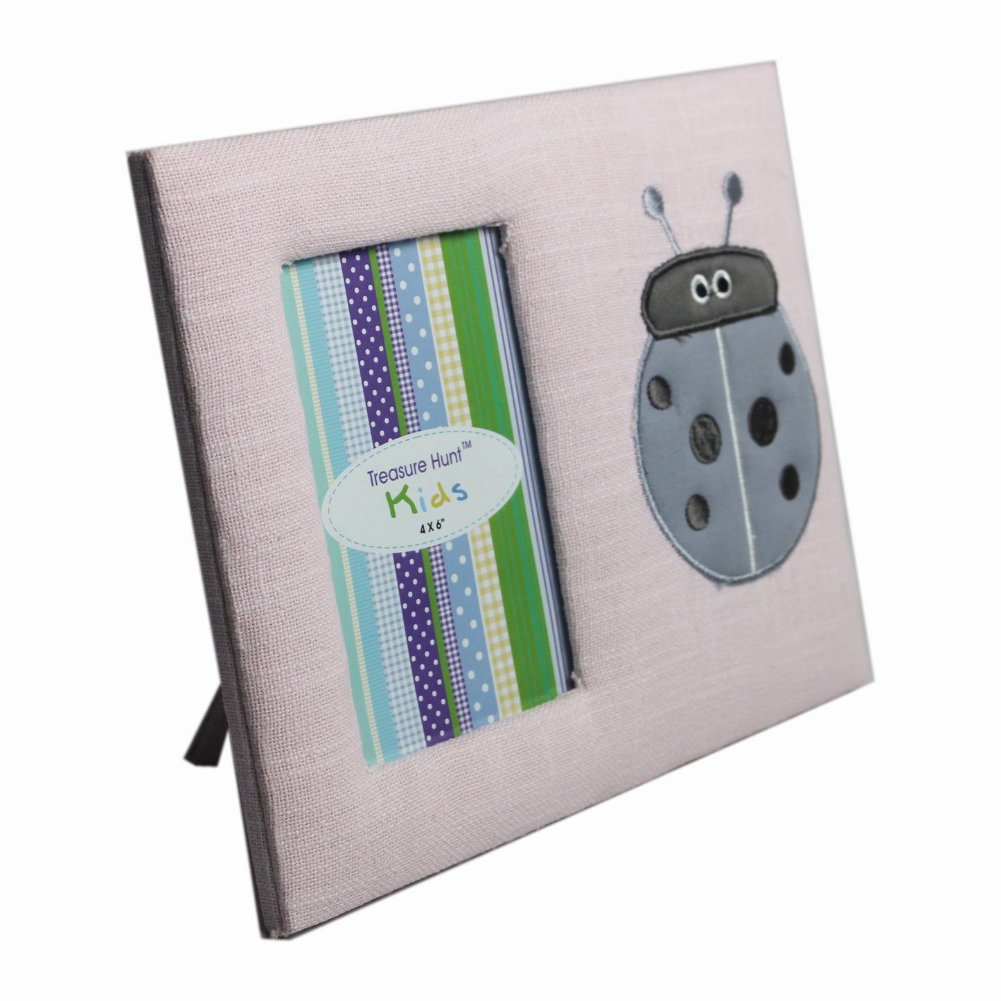 Embroidered Bug Photo Frame With Applique Work