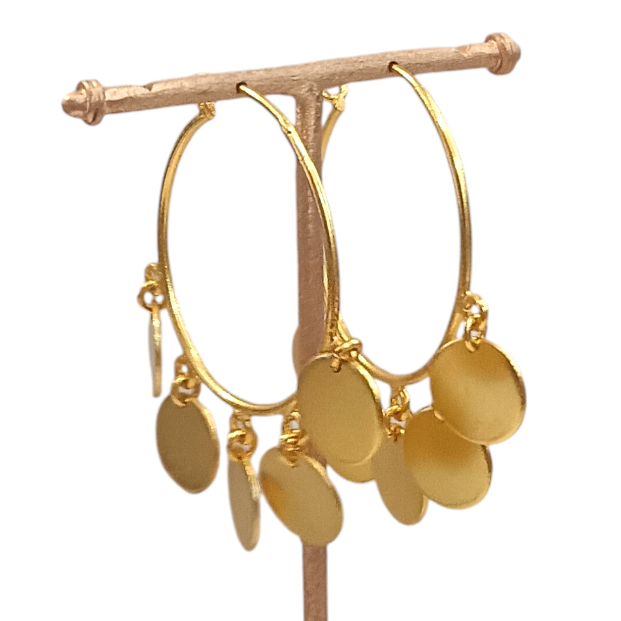  Golden Hoops With Disc Charms Earring 