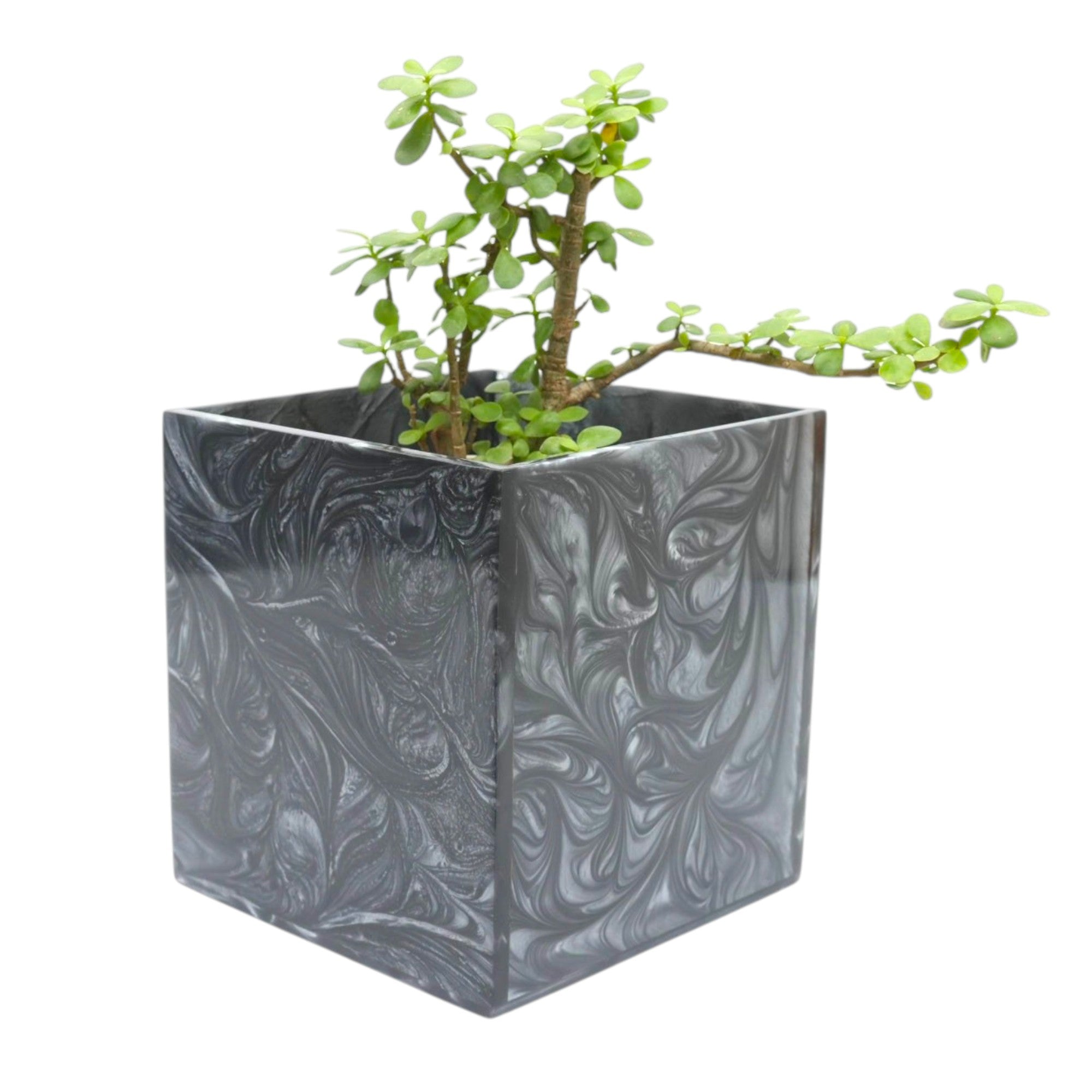 Black Resin Dustbin
