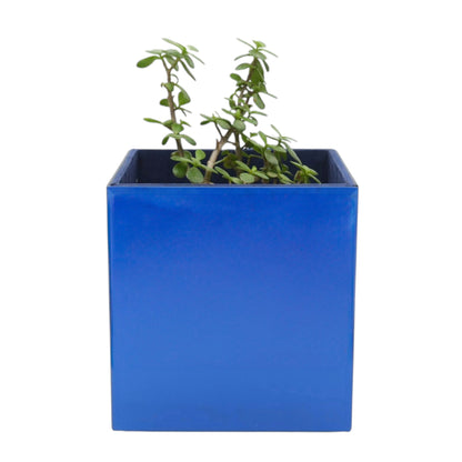 Blue Mirror Dustbin