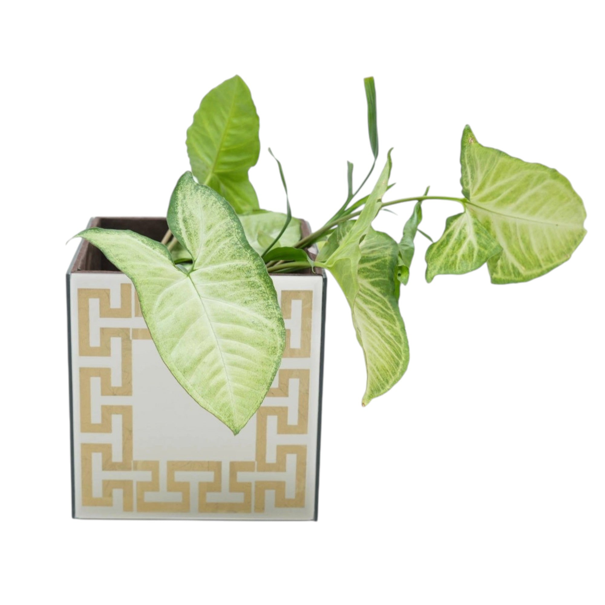 Luxury Brown Mirror Dustbin