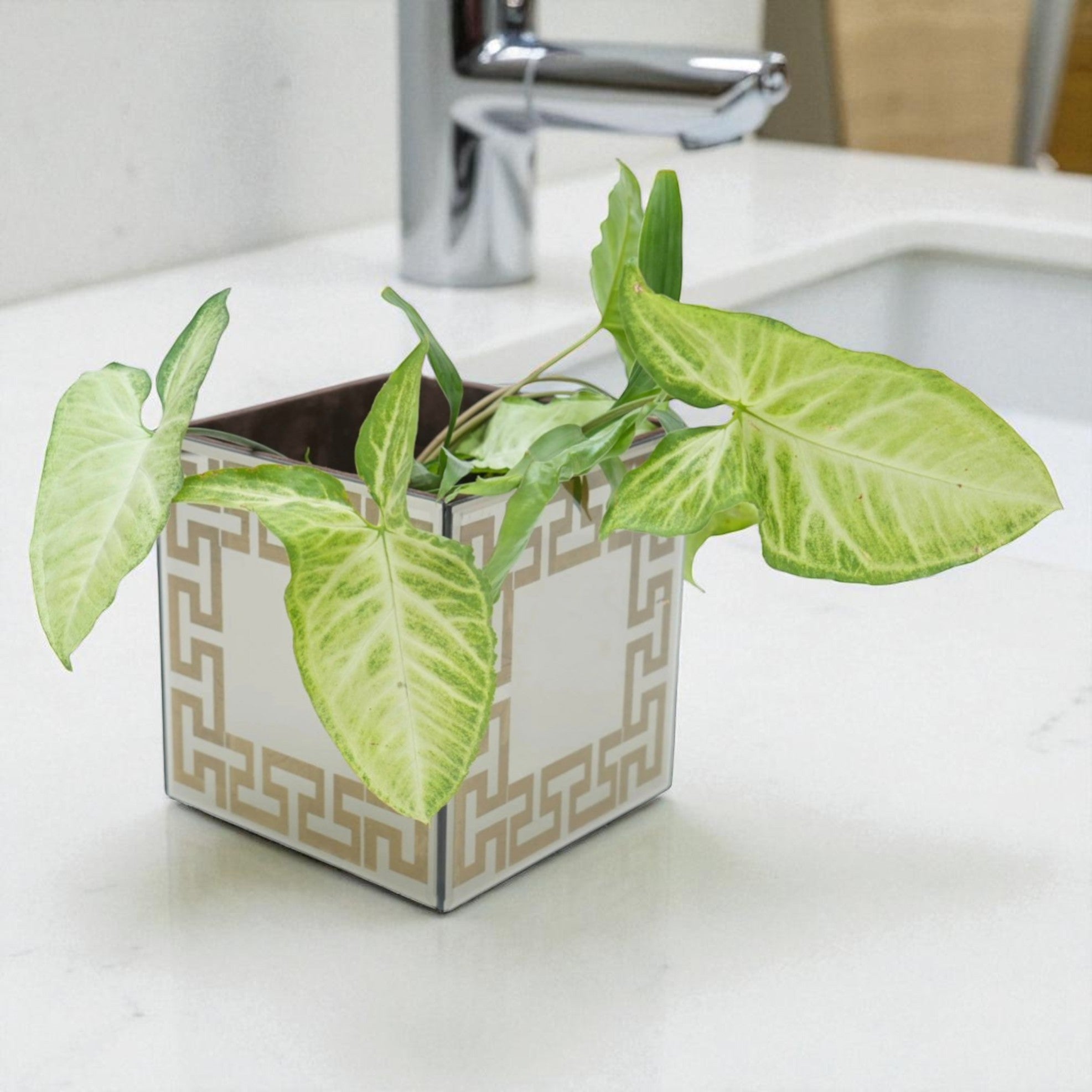 Luxury Brown Mirror Dustbin