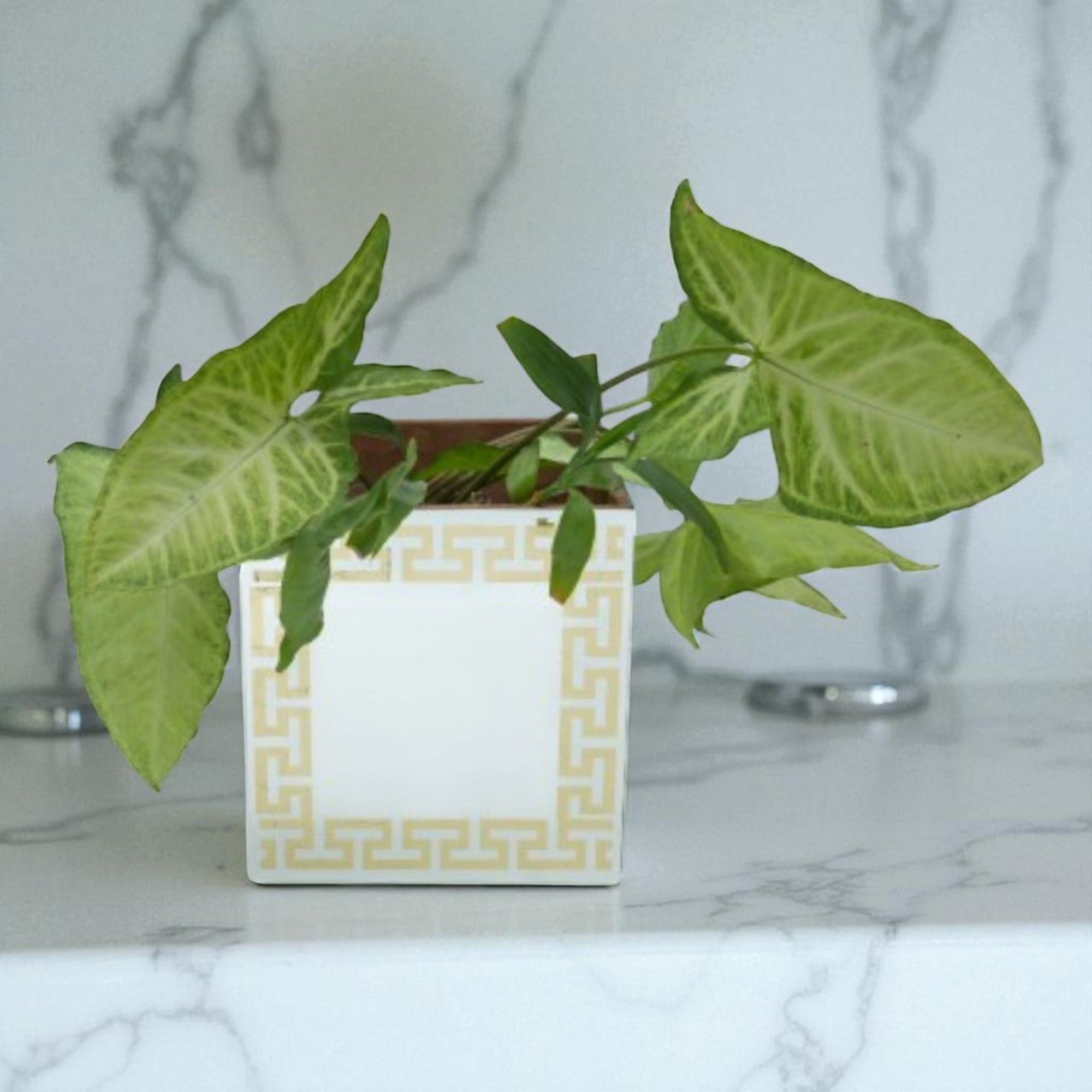 Luxury Silver Mirror Dustbin